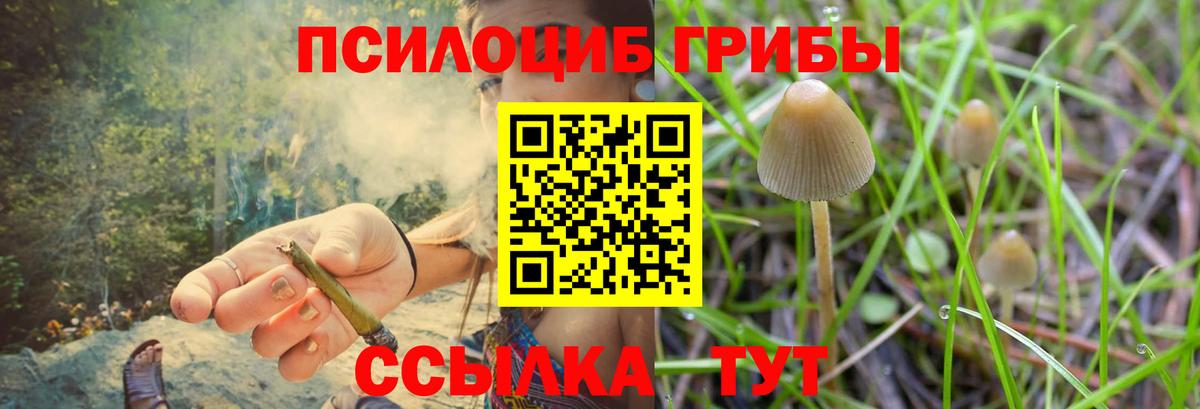 Псилоцибиновые грибы Psilocybine cubensis  Вход с VPN  Коряжма 